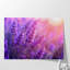 Lavande, impression murale-1586191073-1586191061