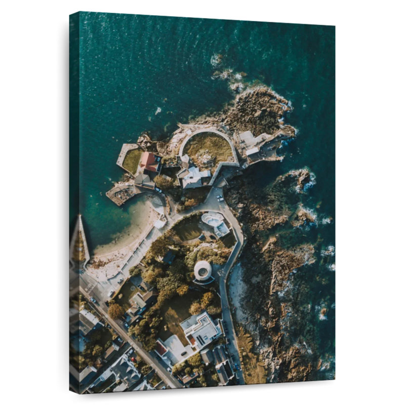 Nicci, vue de Forty Foot, Dublin, H 39 po x l 26 po
