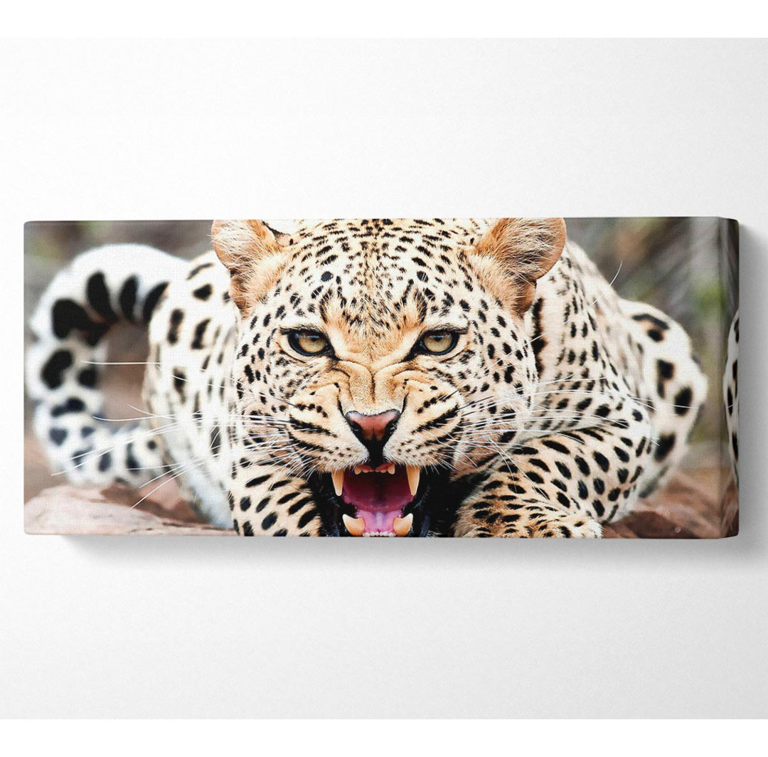 Amazing Cheetah - Kunstdrucke auf Leinwand