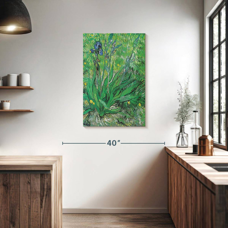 Harnek Iris 1889 II, 36" H x 24" W