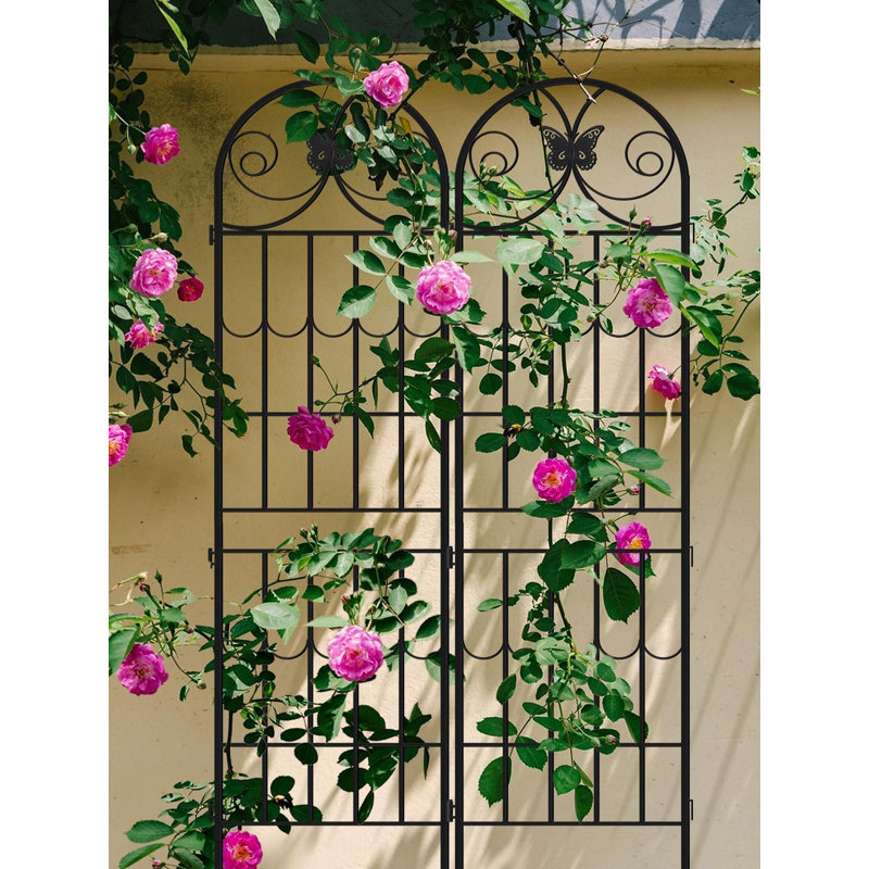 220cm H x 50cm W Metal Gothic Trellis