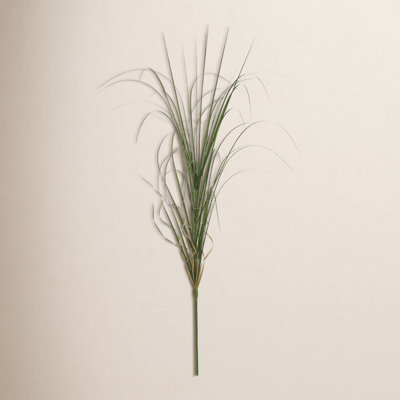 Wegman 36" Agave Grass