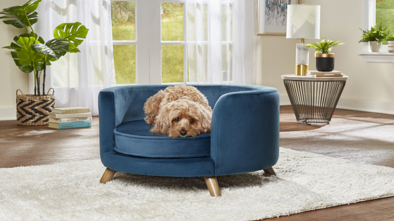 Dog Beds: Types & Features