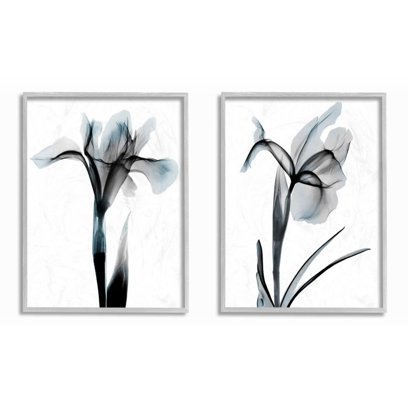 «Contrast Black and Blue Flower Bloom Designs» par Albert Koetsier, ensemble de 2 reproductions d'impressions
