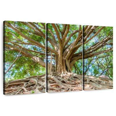Harnek Banyan Tree Park