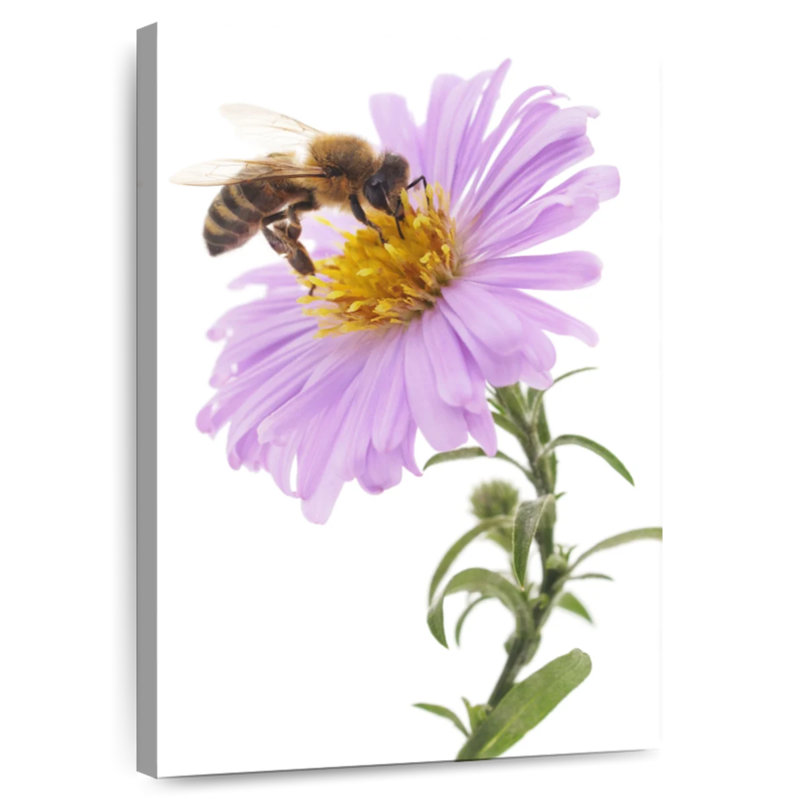 Brampt Bee On Flower, 51" H x 34" W