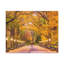 No Frame Print on Canvas-561699501