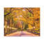 Wall Art on Canvas