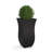 Latonia Pot Planter-1636602872-1704827857
