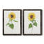 Tournesol I - ensemble de 2 reproductions d'art-422959586-422959588-422959600