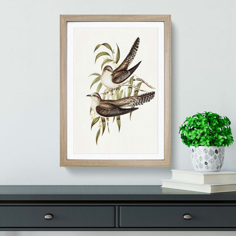 Unadorned Cuckoos by Elizabeth Gould - Picture Frame Painting Print, Oak Framed, 36cm H x 27cm W x 2cm D