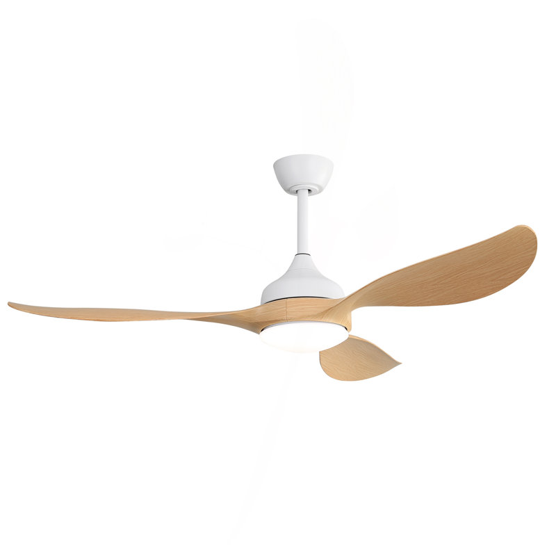Ventilateur de plafond moderne 56 pouces à DEL à intensité variable et moteur à courant continu silencieux et réversible pour l'intérieur et l'extérieur