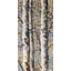 Blossoming birches - 24"x48" Framed canvas