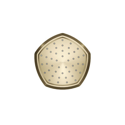 Occasion Full/Standard Fixed Shower Head