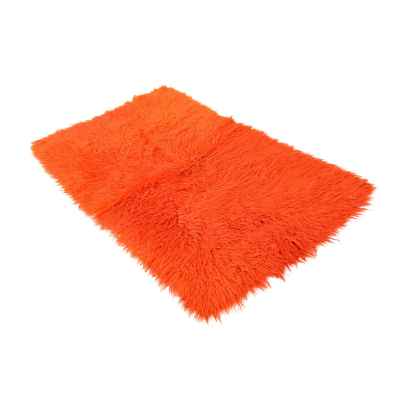 Iraheta Orange Rug