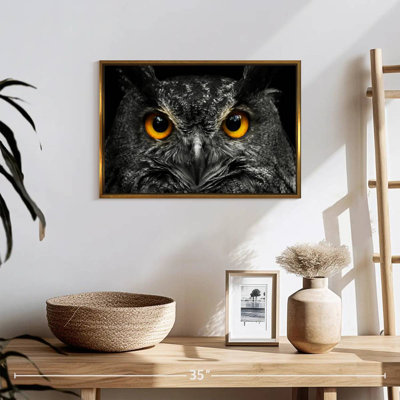 Yellow Eyed Owl