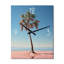 Sea Breeze Blue And Pink Plam Tree - Coastal Wall Clock-1349968164