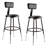 Backed Adjustable Height Ergonomic Lab Stool-58829977-58829981