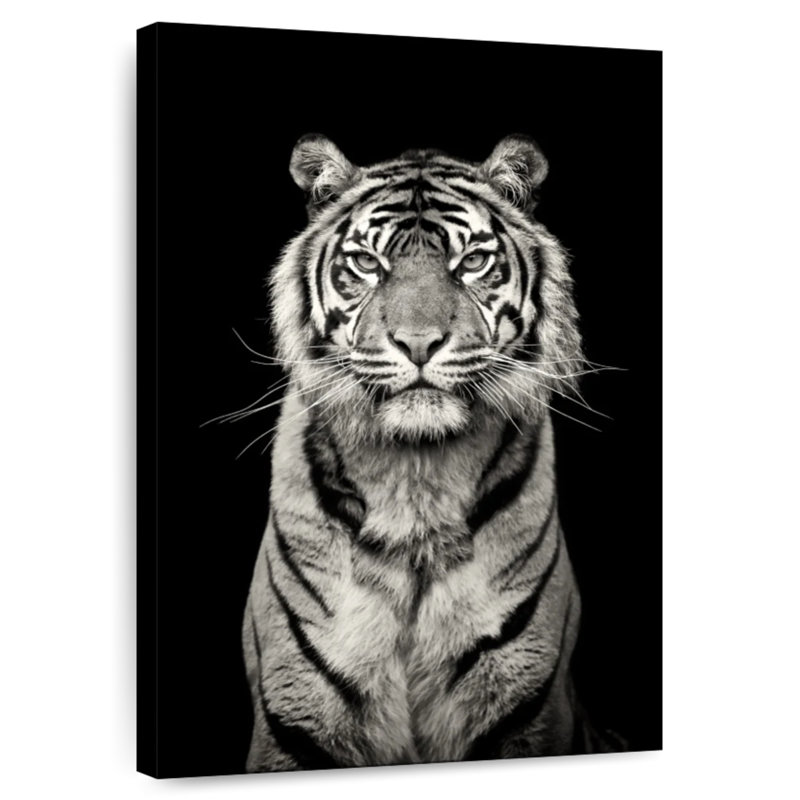 Powerful Tiger Portrait, H 24 po x l 16 po
