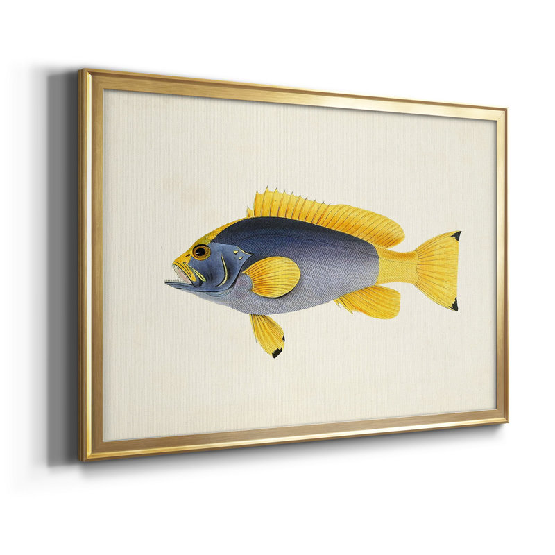 Collection de poissons tropicaux V - ensemble de 2 cadres photo, Or, H 24,5 po x l 37 po x P 1 po