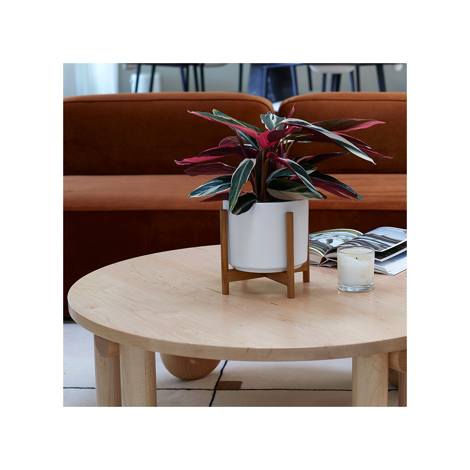 Evantia Ceramic Pot Planter