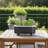 Permasteel Mini Planter W/Bracket, Black-124310547