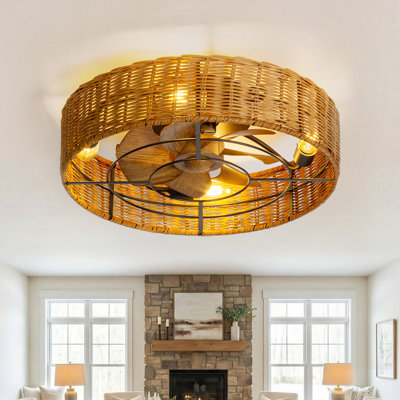 Adiyan 19'' Ceiling Fan with Light Kit