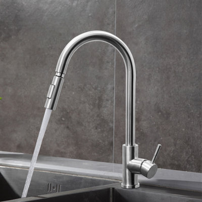 Belfry Bathroom Gaelan Pull Out Kitchen Faucet