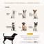 Lit pour chien avec rangement caché-390930290
