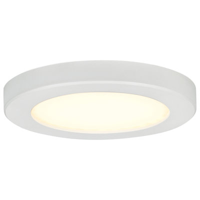 Condy Acrylic Flush Mount
