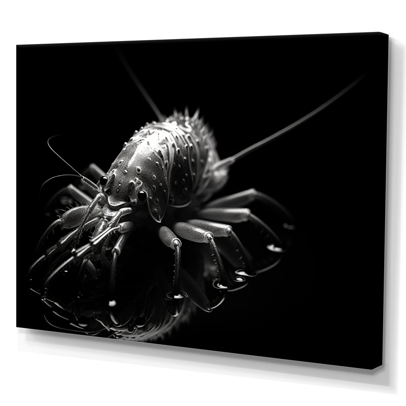 Reproduction d'art sur toile, noir et blanc, H 12 po x l 20 po x P 1 po, Toile tendue