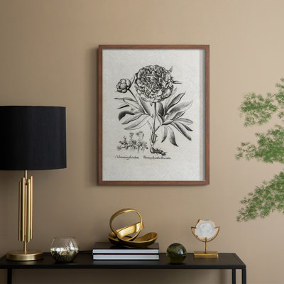 Vintage Floral Print CCCXXVI Framed Print - Solid Wood