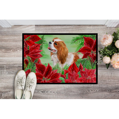 Non-Slip Outdoor Doormat