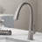 Nolen™ Pull Down Single Handle Kitchen Faucet-34891804