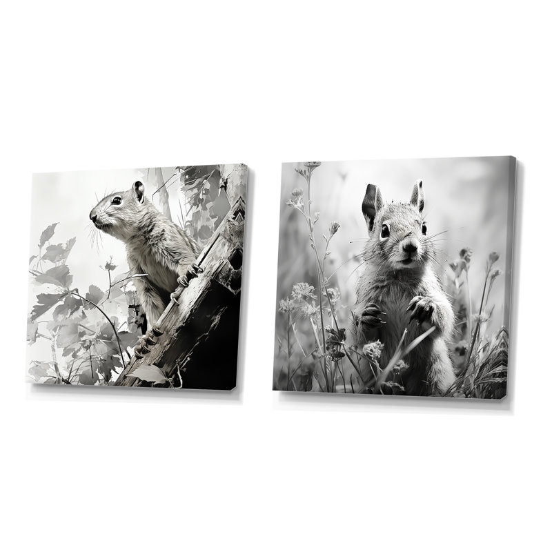 Noir, blanc, écureuil, forêt, acrobate I - ensemble d'œuvres d'art sur toile écureuil, Toile tendue