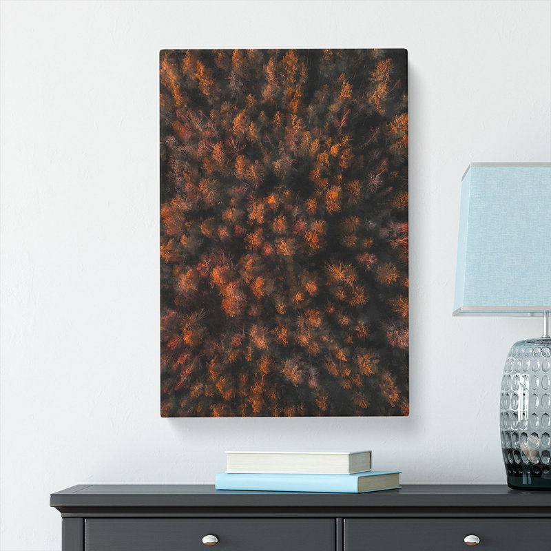 Autumn Forest In Bloom - Wrapped Canvas, 50cm H x 35cm W x 3cm D