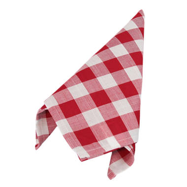 Gracie Oaks Checkered Tea Towel