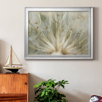 Macro Dandelion IV - Photographie sur toile avec cadre photo