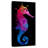 Seahorse Colors
