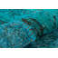 Tapis turquoise fait à la main Modern
