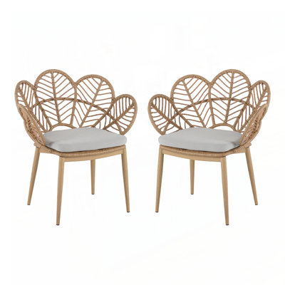 Chaise d'extérieur en forme de paon en osier, faux rotin, ensemble de 2
