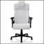 Fauteuil de jeu ergonomique pour PC avec support lombaire, accoudoirs rabattables et appui-tête pour une utilisation confortable pendant de longues heures