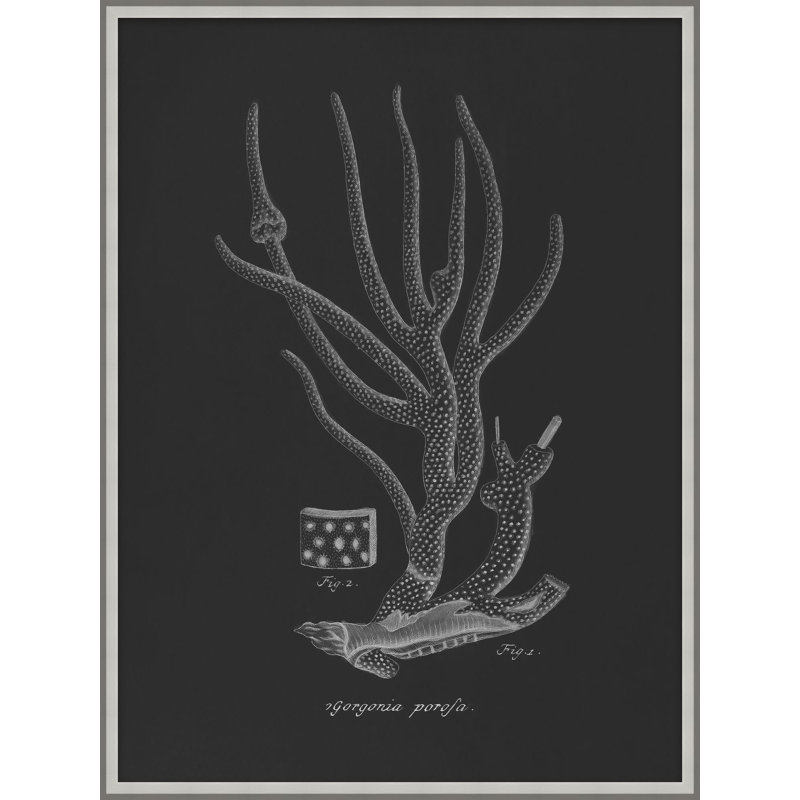 Briny Deep 3 Print by Art House Studios, 25" H x 19" W x 2" D