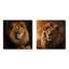Royal Lion Portrait I - Lion-1321577556