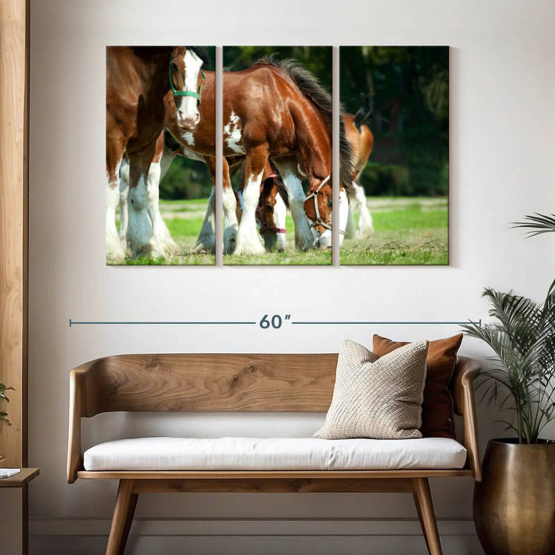 Chevaux Clydesdale, H 32 po x l 50 po