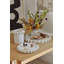 Plateau Archbold-92195669