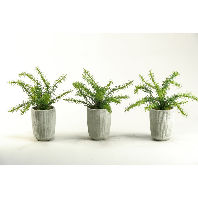Faux Foliage Plant in Concrete Pot
