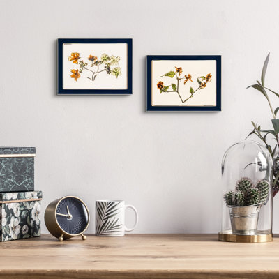 Aluminum Gold Edge Enamel Frame 2 Set
