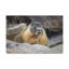 No Frame Print on Canvas-511535348