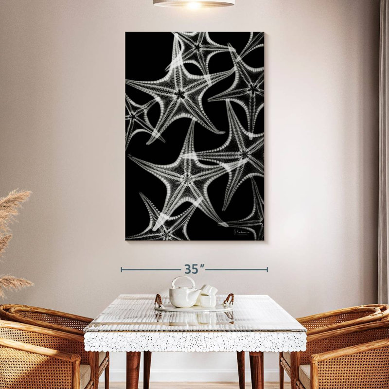 Brampt White Starfish, 51" H x 34" W